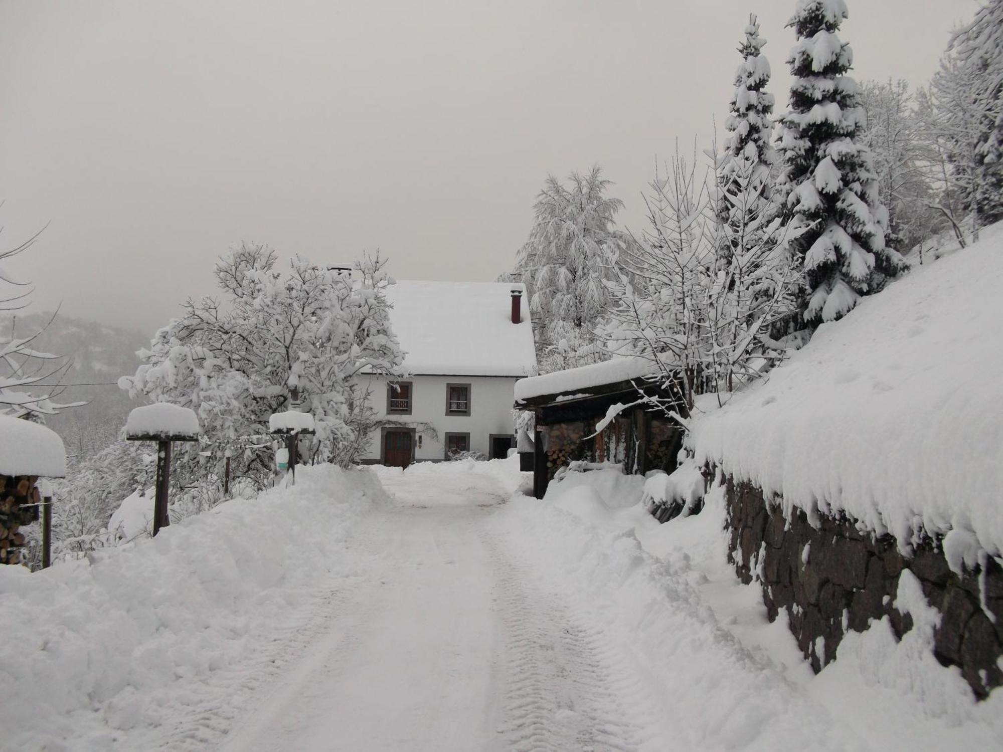 Bed and Breakfast La Ferme Du Vieux Sapin La Bresse Exterior foto