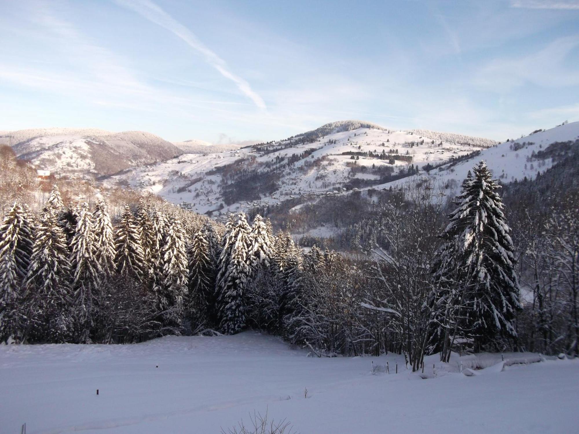 Bed and Breakfast La Ferme Du Vieux Sapin La Bresse Exterior foto