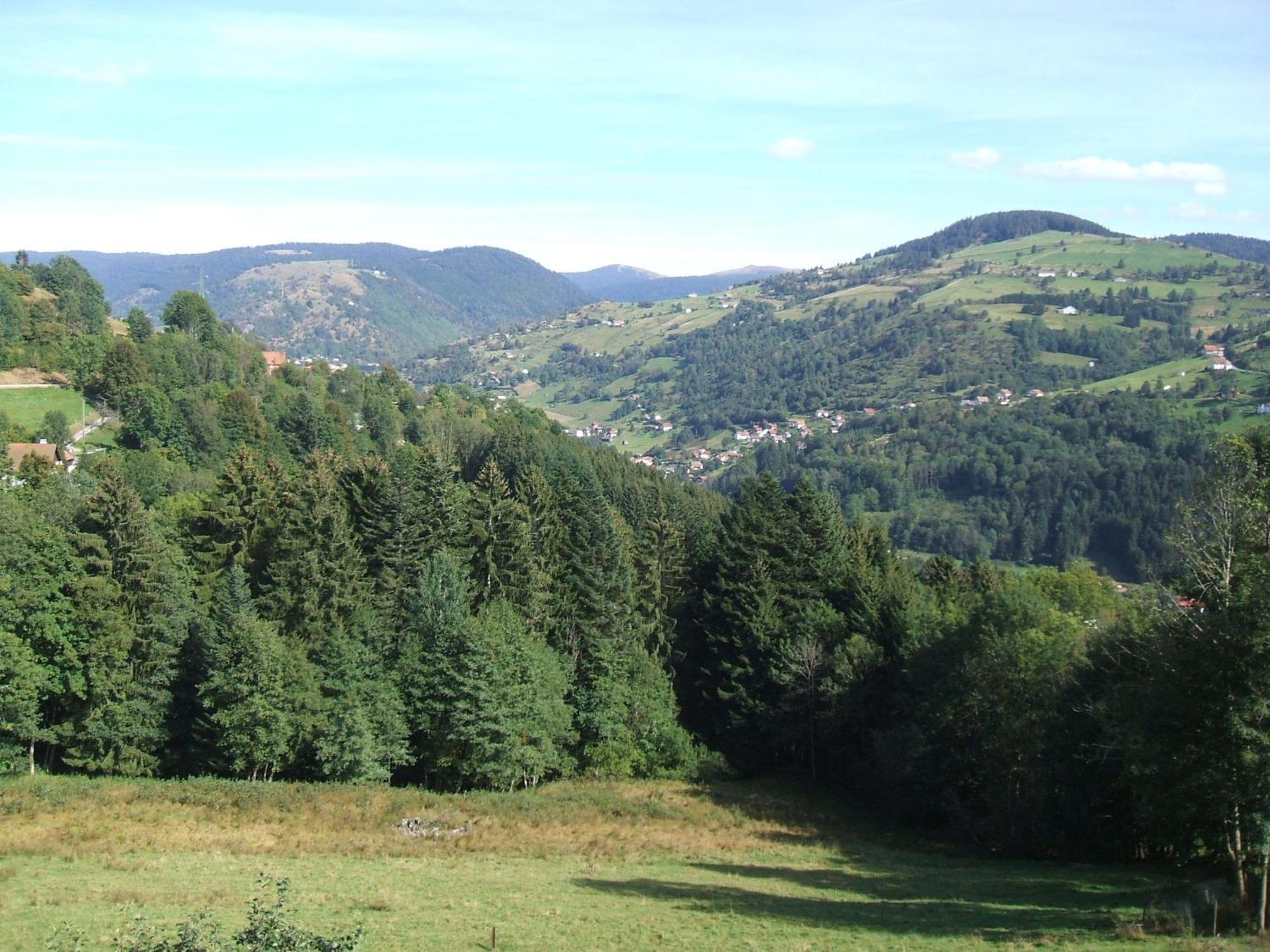 Bed and Breakfast La Ferme Du Vieux Sapin La Bresse Exterior foto