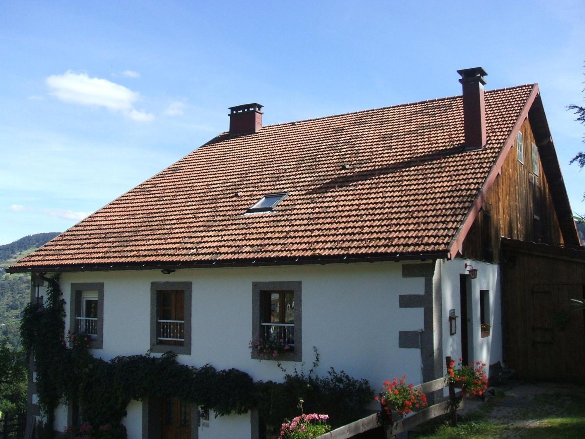 Bed and Breakfast La Ferme Du Vieux Sapin La Bresse Exterior foto