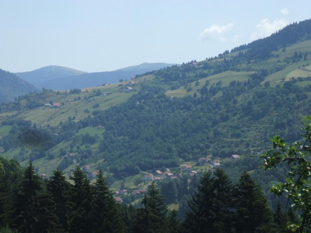 Bed and Breakfast La Ferme Du Vieux Sapin La Bresse Exterior foto