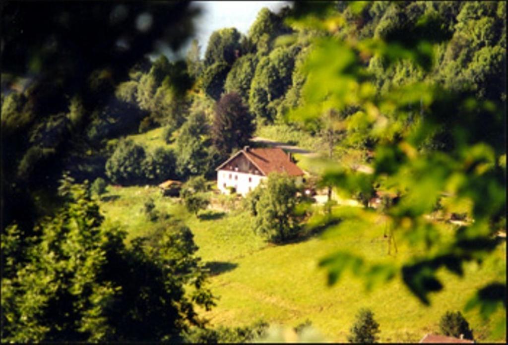 Bed and Breakfast La Ferme Du Vieux Sapin La Bresse Exterior foto